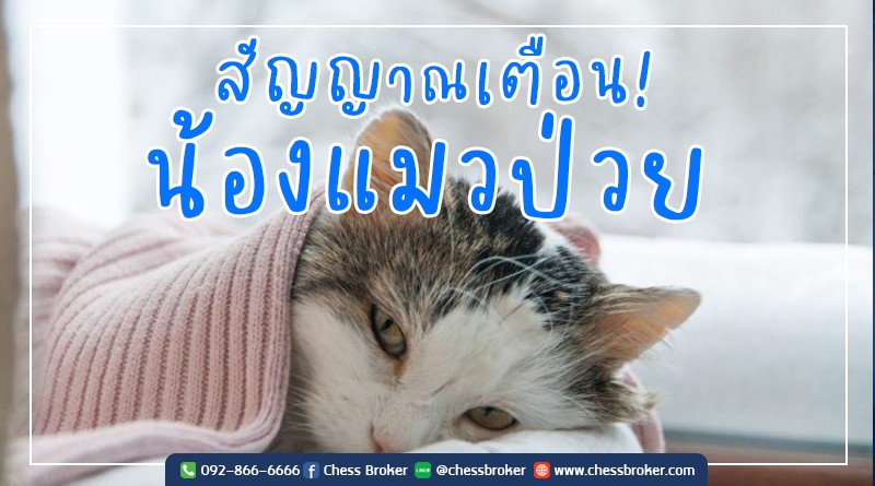 ประกันสุขภาพและมะเร็ง