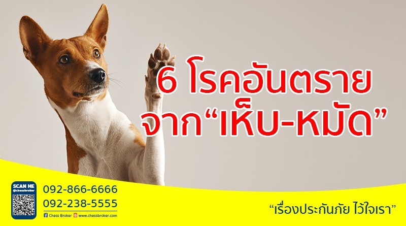 ประกันสุขภาพ