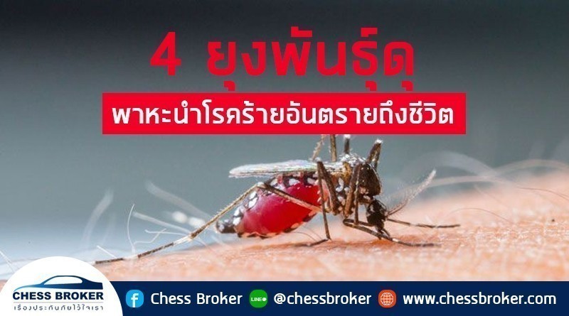 ประกันสุขภาพ
