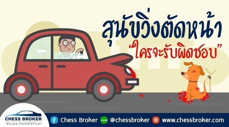 ประกันภัยรถยนต์ชั้น 1