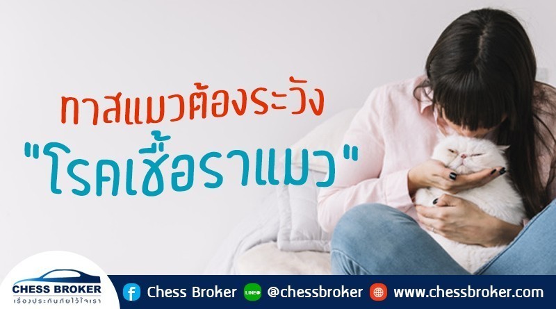 ประกันสุขภาพ