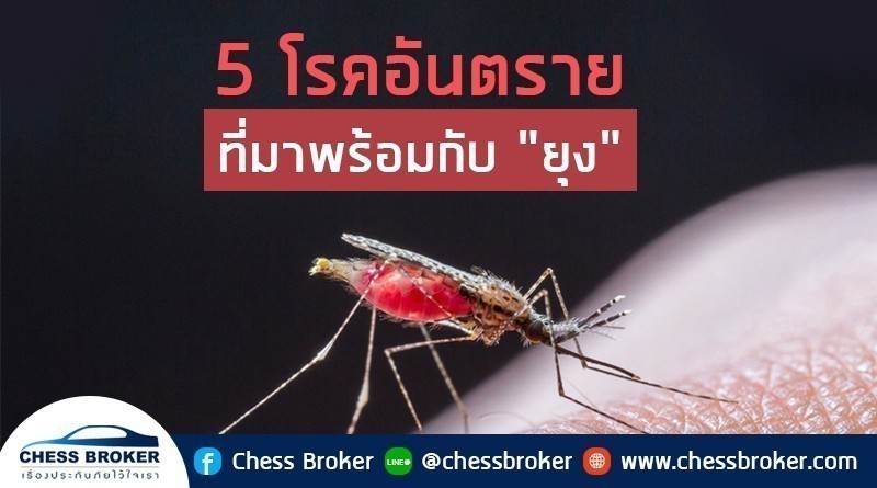 ประกันอุบัติเหตุส่วนบุคคล
